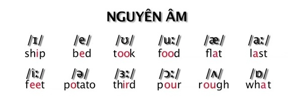 Tìm hiểu bảng IPA và phân loại 44 âm trong tiếng Anh