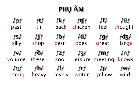 Tìm hiểu bảng IPA và phân loại 44 âm trong tiếng Anh