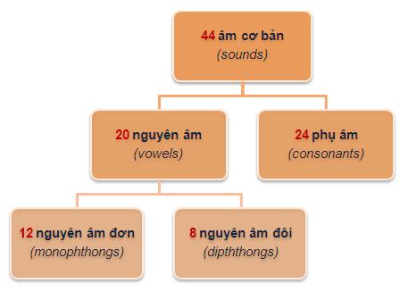 Tìm hiểu bảng IPA và phân loại 44 âm trong tiếng Anh