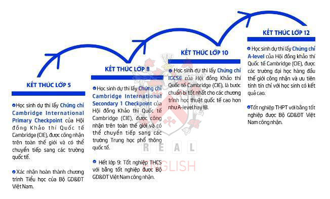 Muốn vào lớp 6 hệ Cam thì cần học và ôn những gì?