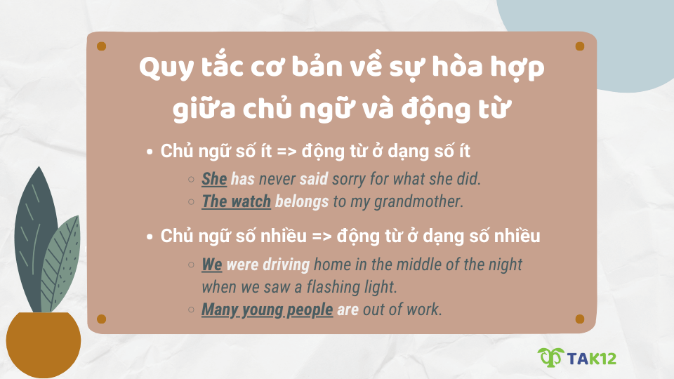 Quy tắc về sự hòa hợp giữa chủ ngữ và động từ