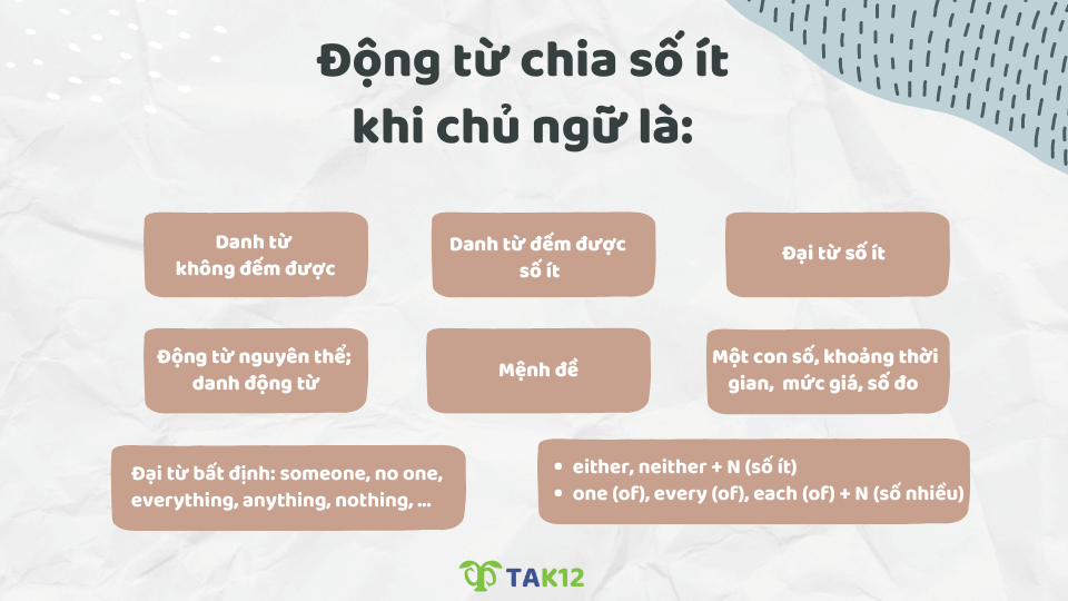 Các trường hợp động từ chia số ít