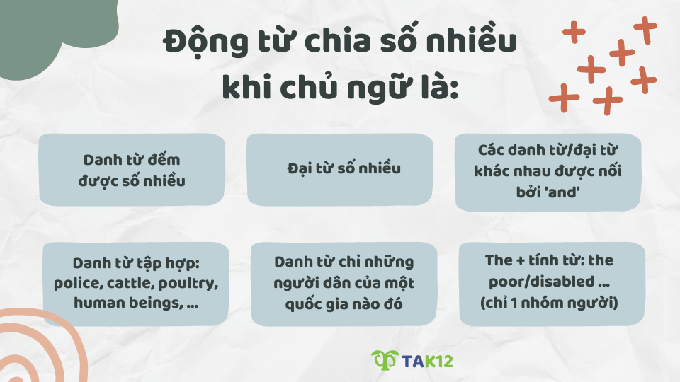 Các trường hợp động từ chia số nhiều