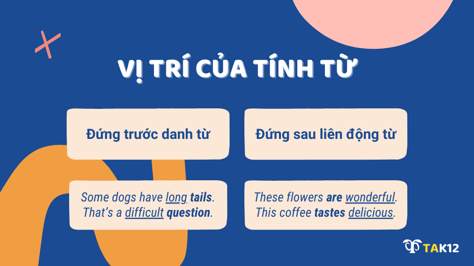 Vị trí của tính từ