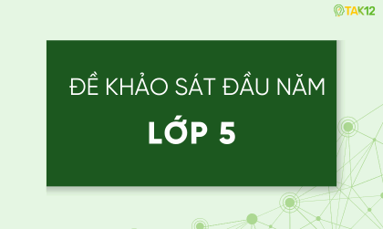Đề khảo s&aacute;t chất lượng đầu năm c&aacute;c lớp
