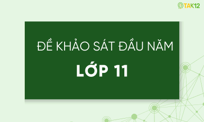 Đề khảo s&aacute;t chất lượng đầu năm c&aacute;c lớp