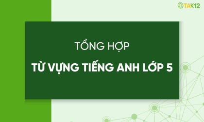 tổng hợp từ vựng tiếng anh lớp 5