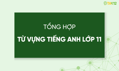 Từ vựng Tiếng Anh lớp 11