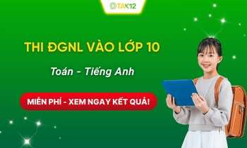 Đánh giá năng lực vào lớp 10 miễn phí