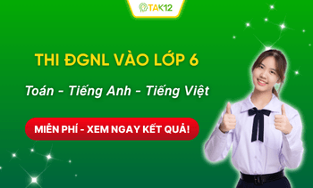 Đánh giá năng lực vào lớp 6 miễn phí
