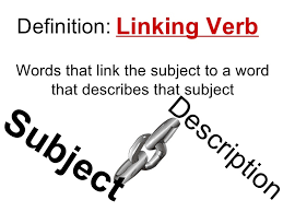 Linking verb - liên động từ trong tiếng Anh