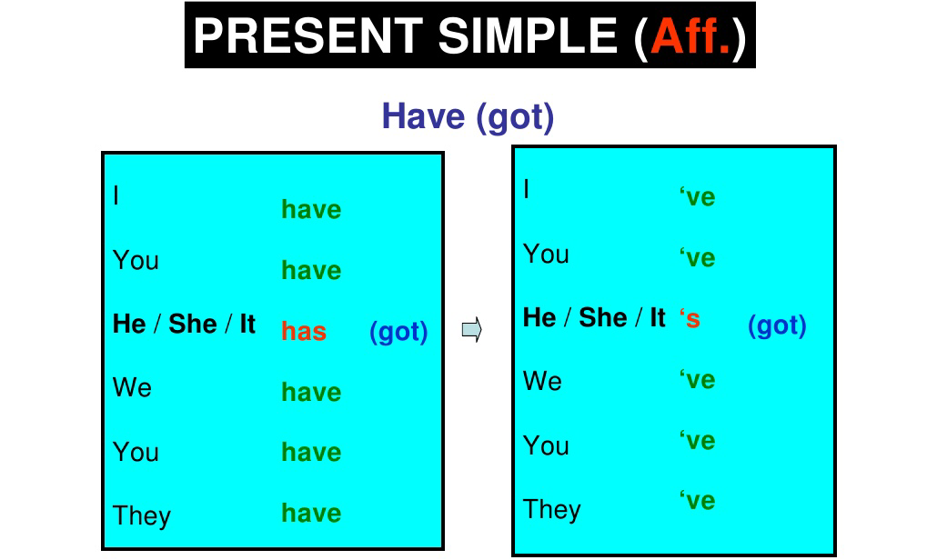 Thì hiện tại đơn với động từ 