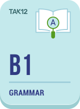 B1 Grammar