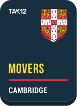 A1 Movers