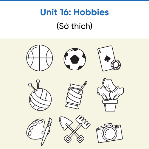 Icon Unit 16