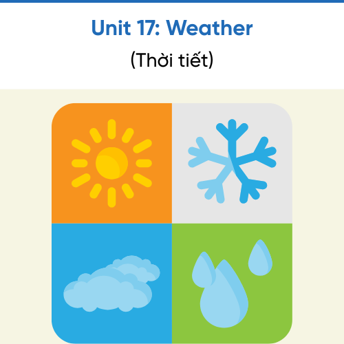 Icon Unit 17