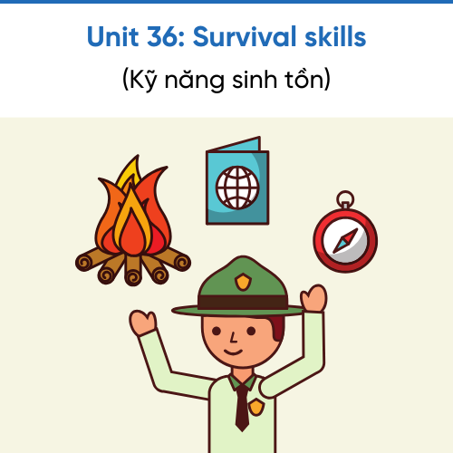 Icon Unit 36