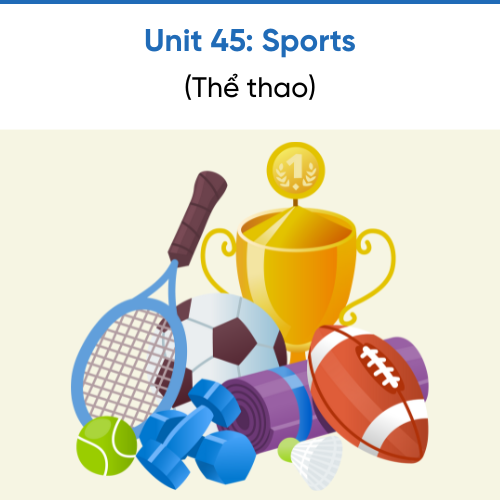 Icon Unit 45