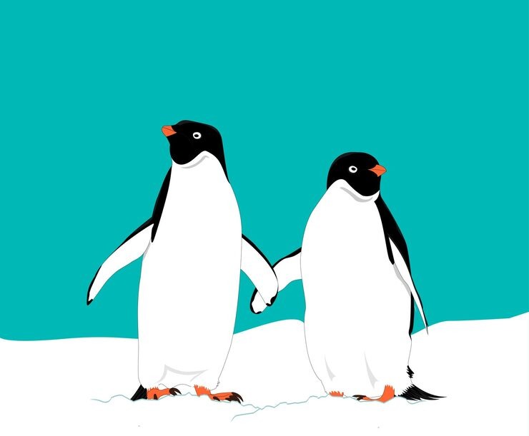 Page 7 | Penguin colony Vectors - Download Free High-Quality Vectors from  Freepik | Freepik