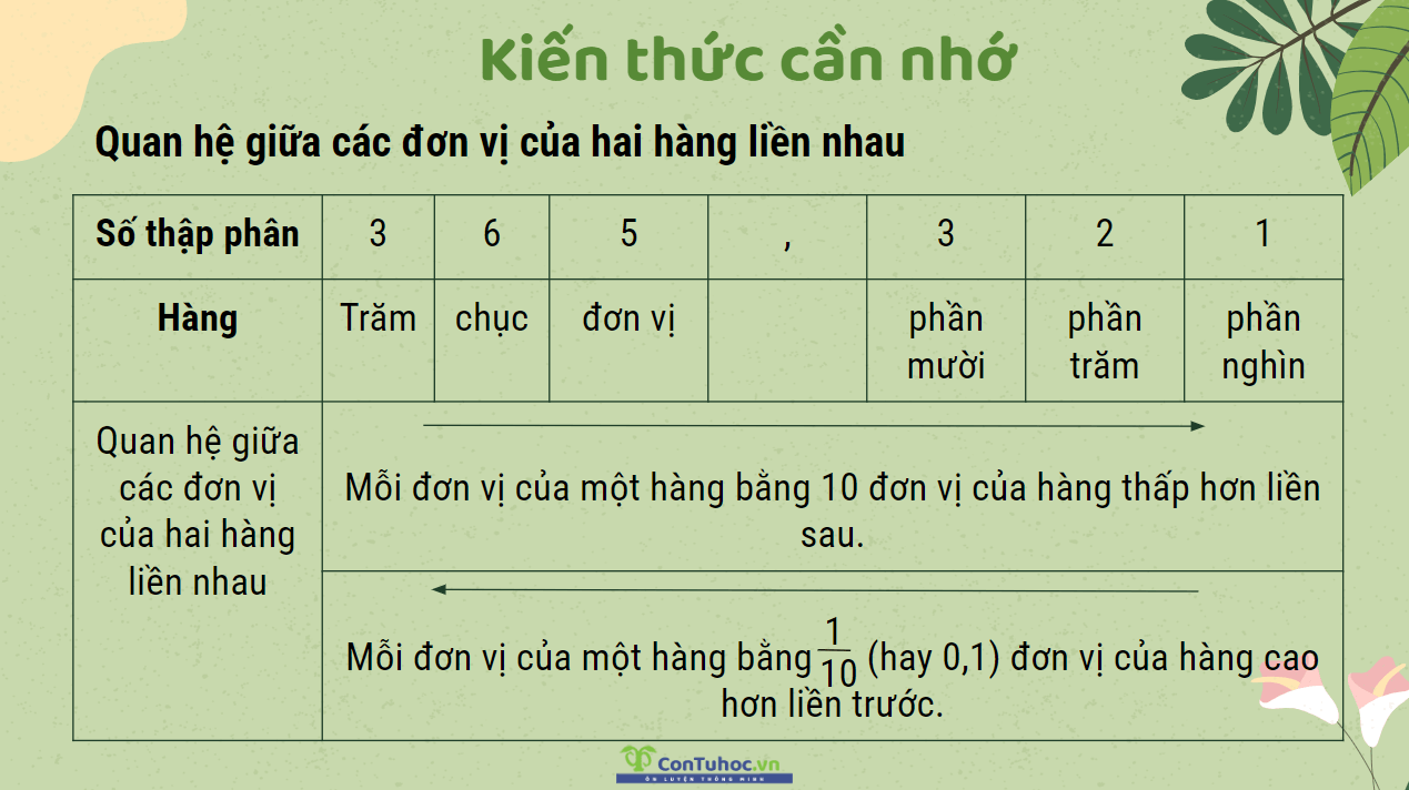 Quan hệ giữa các đơn vị của hai hàng liền nhau