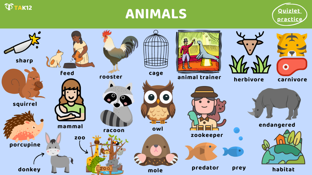 Từ vựng Toefl Primary Step 2 - chủ đề Animals