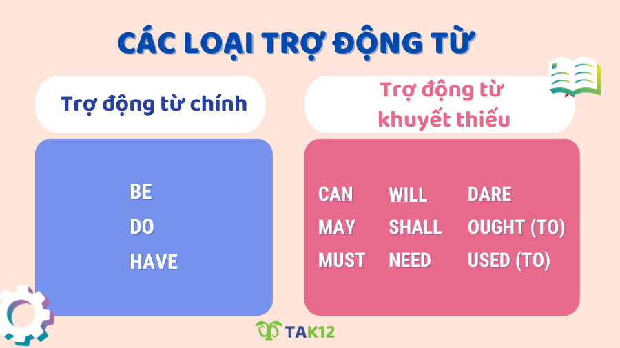 Các loại trợ động từ phổ biến nhất