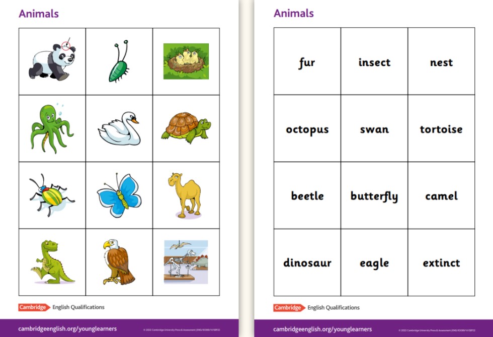 Flashcard từ vựng A2 Flyers - Cambridge English