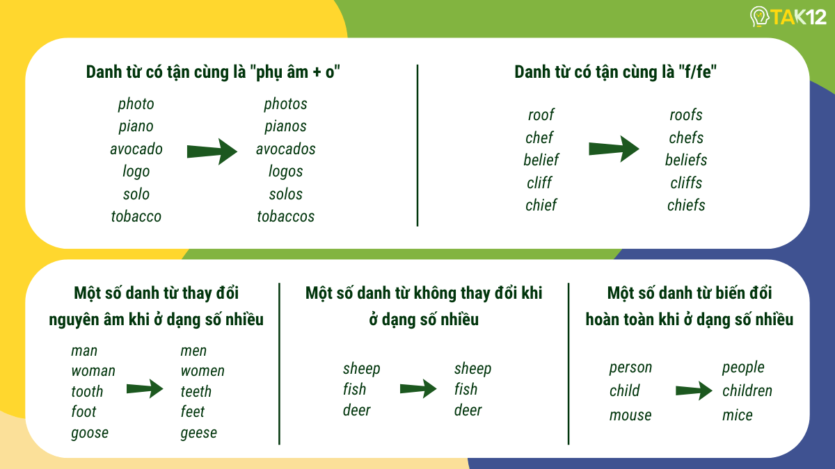 Thành lập danh từ số nhiều bất quy tắc