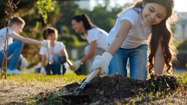 365atlantatraveler.com